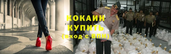 СК Дмитровск