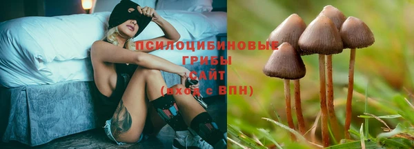 хмурый Елизово