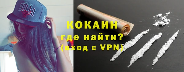 твердый Дмитров