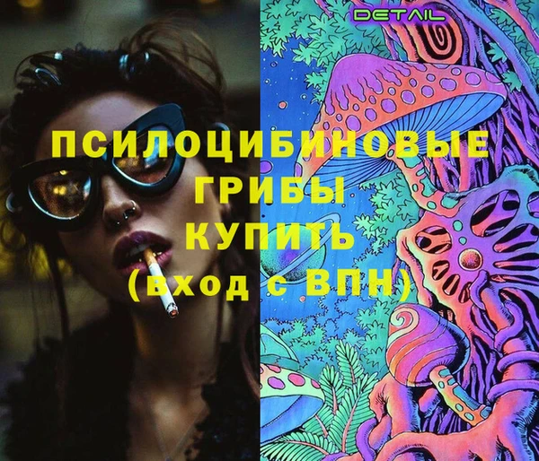 СК Дмитровск