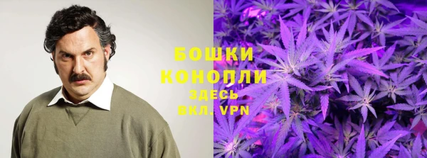 твердый Дмитров